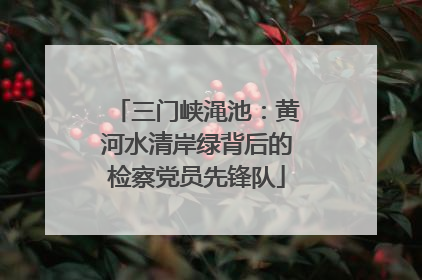 三门峡渑池：黄河水清岸绿背后的检察党员先锋队