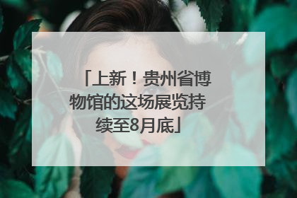 上新！贵州省博物馆的这场展览持续至8月底