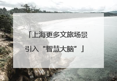 上海更多文旅场景引入“智慧大脑”