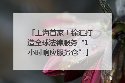 上海首家！徐汇打造全球法律服务“1小时响应服务仓”