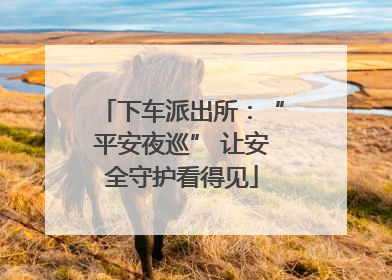 下车派出所：“平安夜巡” 让安全守护看得见
