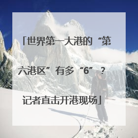 世界第一大港的“第六港区”有多“6”？记者直击开港现场