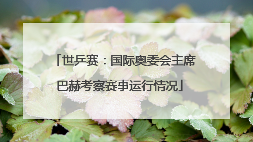 世乒赛：国际奥委会主席巴赫考察赛事运行情况