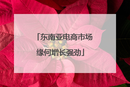 东南亚电商市场缘何增长强劲