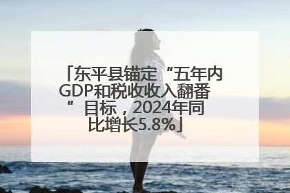 东平县锚定“五年内GDP和税收收入翻番”目标，2024年同比增长5.8%