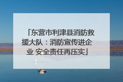 东营市利津县消防救援大队：消防宣传进企业 安全责任再压实