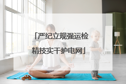 严纪立规强运检 精技实干护电网