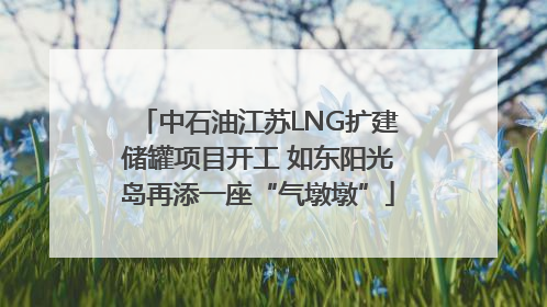 中石油江苏LNG扩建储罐项目开工 如东阳光岛再添一座“气墩墩”