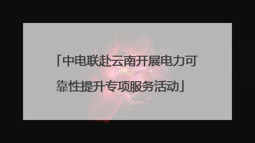 中电联赴云南开展电力可靠性提升专项服务活动