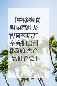 中移物联明厨亮灶及智慧药店方案亮相贵州移动商客产品推介会