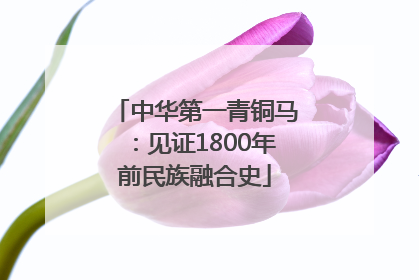 中华第一青铜马：见证1800年前民族融合史