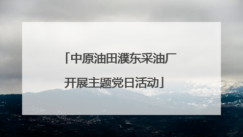 中原油田濮东采油厂开展主题党日活动