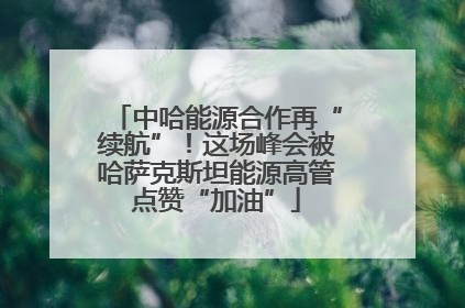 中哈能源合作再“续航”！这场峰会被哈萨克斯坦能源高管点赞“加油”