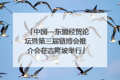 中国—东盟经贸论坛暨第三届链博会推介会在吉隆坡举行