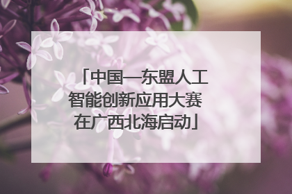 中国—东盟人工智能创新应用大赛在广西北海启动