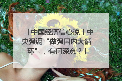 中国经济信心说丨中央强调“做强国内大循环”，有何深意？