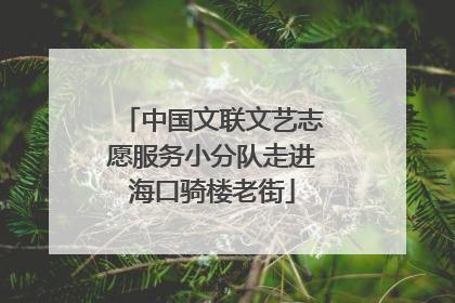 中国文联文艺志愿服务小分队走进海口骑楼老街