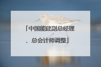 中国能建副总经理、总会计师调整