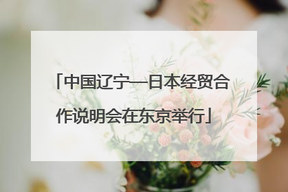 中国辽宁—日本经贸合作说明会在东京举行