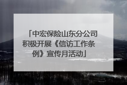 中宏保险山东分公司积极开展《信访工作条例》宣传月活动