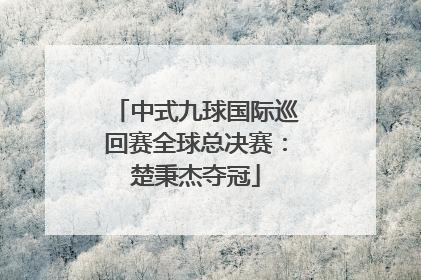 中式九球国际巡回赛全球总决赛：楚秉杰夺冠