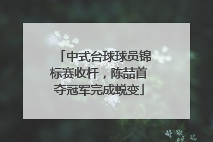 中式台球球员锦标赛收杆，陈喆首夺冠军完成蜕变