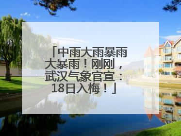 中雨大雨暴雨大暴雨！刚刚，武汉气象官宣：18日入梅！