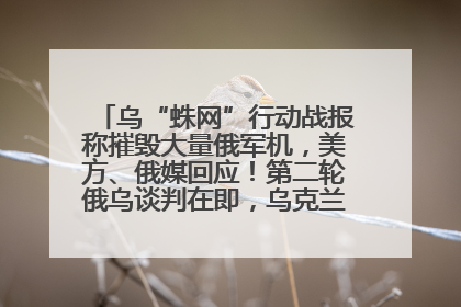 乌“蛛网”行动战报称摧毁大量俄军机，美方、俄媒回应！第二轮俄乌谈判在即，乌克兰提出三大诉求