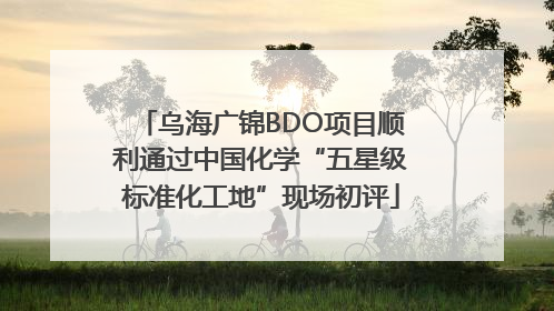 乌海广锦BDO项目顺利通过中国化学“五星级标准化工地”现场初评