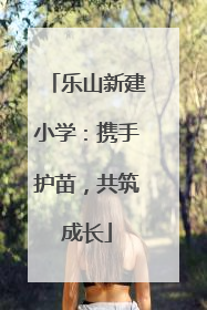 乐山新建小学：携手护苗，共筑成长