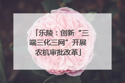 乐陵：创新“三端三化三网”开展农机审批改革