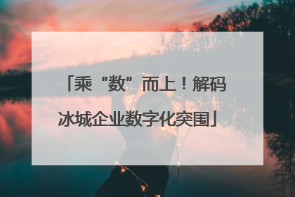 乘“数”而上！解码冰城企业数字化突围
