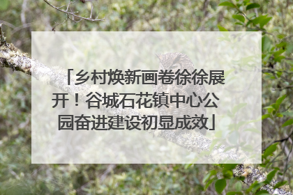 乡村焕新画卷徐徐展开！谷城石花镇中心公园奋进建设初显成效