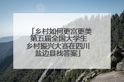 乡村如何更富更美 第五届全国大学生乡村振兴大赛在四川盐边县找答案