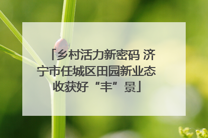 乡村活力新密码 济宁市任城区田园新业态收获好“丰”景