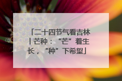 二十四节气看吉林丨芒种：“芒”着生长，“种”下希望