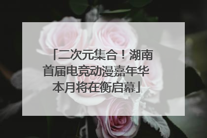 二次元集合！湖南首届电竞动漫嘉年华本月将在衡启幕