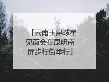 云南玉昆球星见面会在昆明南屏步行街举行