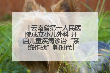 云南省第一人民医院成立小儿外科 开启儿童疾病诊治“系统作战”新时代