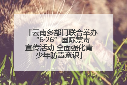 云南多部门联合举办“6·26”国际禁毒宣传活动 全面强化青少年防毒意识