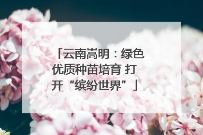 云南嵩明：绿色优质种苗培育 打开“缤纷世界”