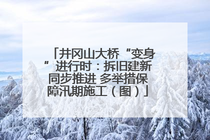 井冈山大桥“变身”进行时：拆旧建新同步推进 多举措保障汛期施工（图）