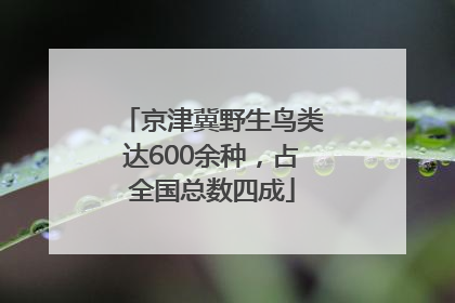 京津冀野生鸟类达600余种，占全国总数四成