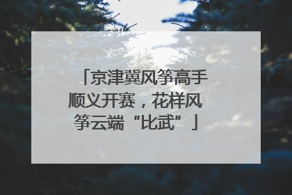 京津冀风筝高手顺义开赛，花样风筝云端“比武”