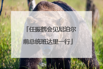 任振鹤会见尼泊尔前总统班达里一行