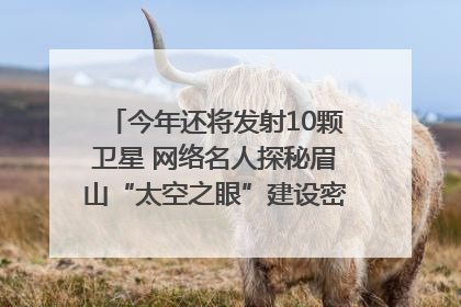 今年还将发射10颗卫星 网络名人探秘眉山“太空之眼”建设密码｜网络名人四川行