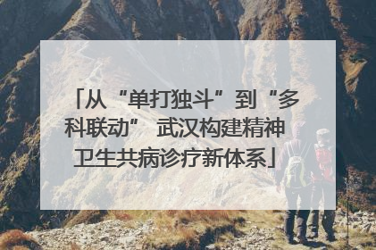 从“单打独斗”到“多科联动” 武汉构建精神卫生共病诊疗新体系