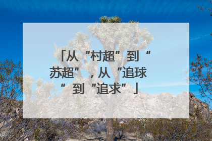 从“村超”到“苏超”，从“追球”到“追求”