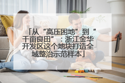 从“高压困地”到“千亩良田”：浙江金华开发区这个地块打造全域整治示范样本