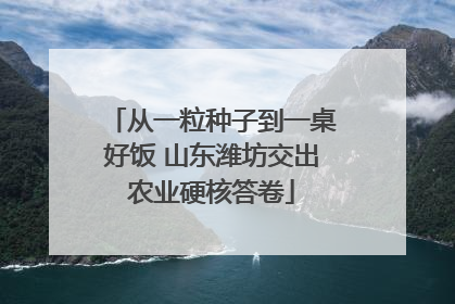 从一粒种子到一桌好饭 山东潍坊交出农业硬核答卷